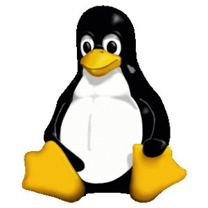 linux kernel wekelijks
