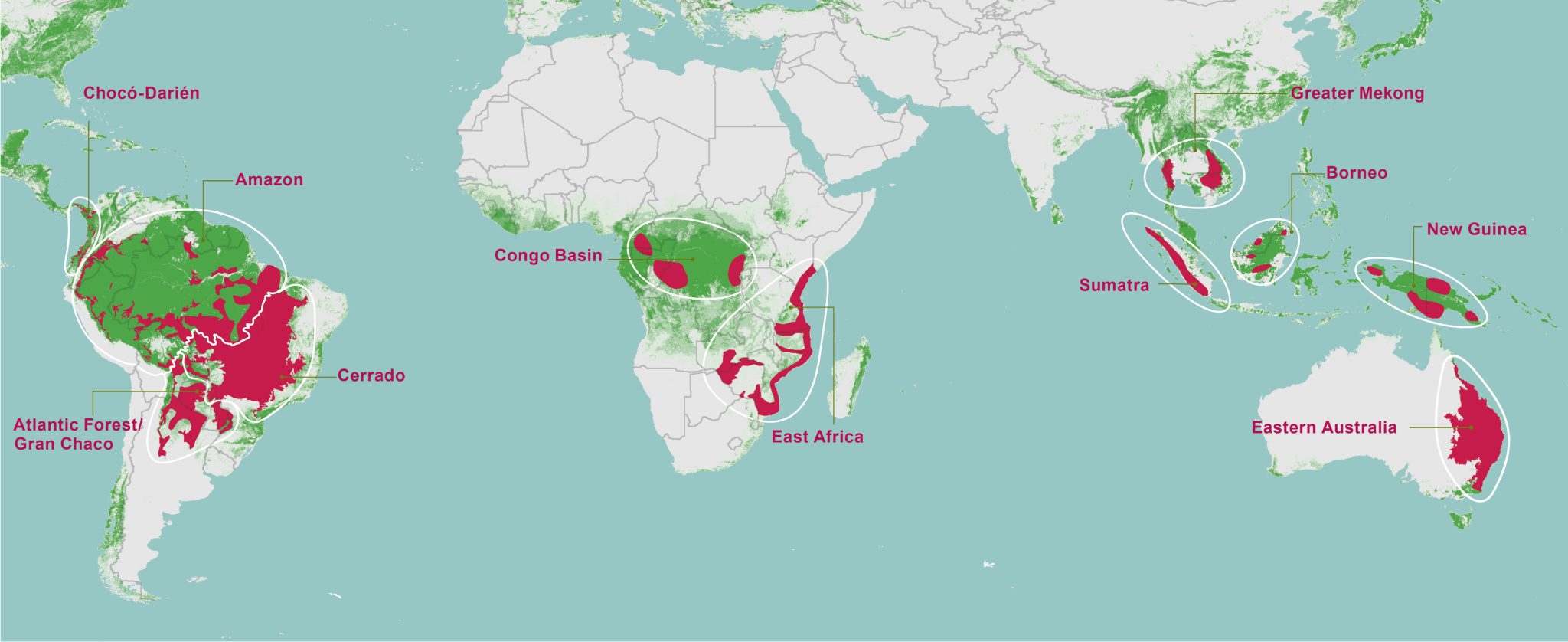 Карта вырубки лесов в мире